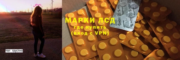 прущие грибы Лихославль