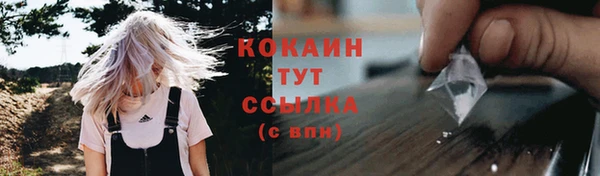 прущие грибы Лихославль