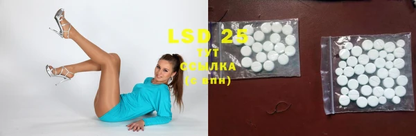 прущие грибы Лихославль