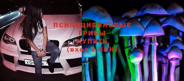 apvp Лагань